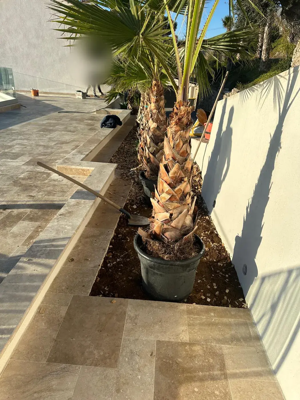 Jardinière maçonnée accueillant un palmier en bordure de terrasse